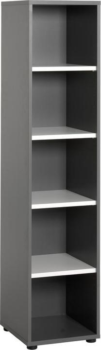 pfister Movie-5 (40.60 x 43 x 178.70 cm)