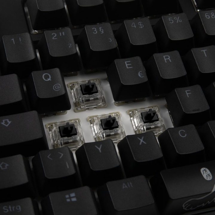 Actual product image Ducky One 2 TKL PBT (DE, Cable)