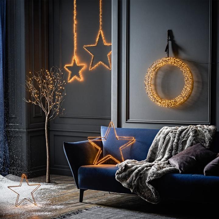 Immagine prodotto STT Storno giavanese