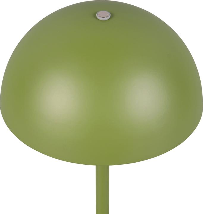Immagine prodotto Reality LED-Akku-Tischleuchte MUNOZ, R54891115, 1,3W, 120lm, 3000K, grün (120 lm)