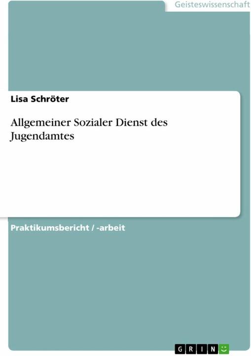 Actual product image Allgemeiner Sozialer Dienst des Jugendamtes (German, Lisa Schröter, 2013)