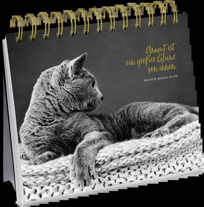 Produktbild Inspirierende Worte für Katzenfreunde (Deutsch, Groh Verlag, 2018)