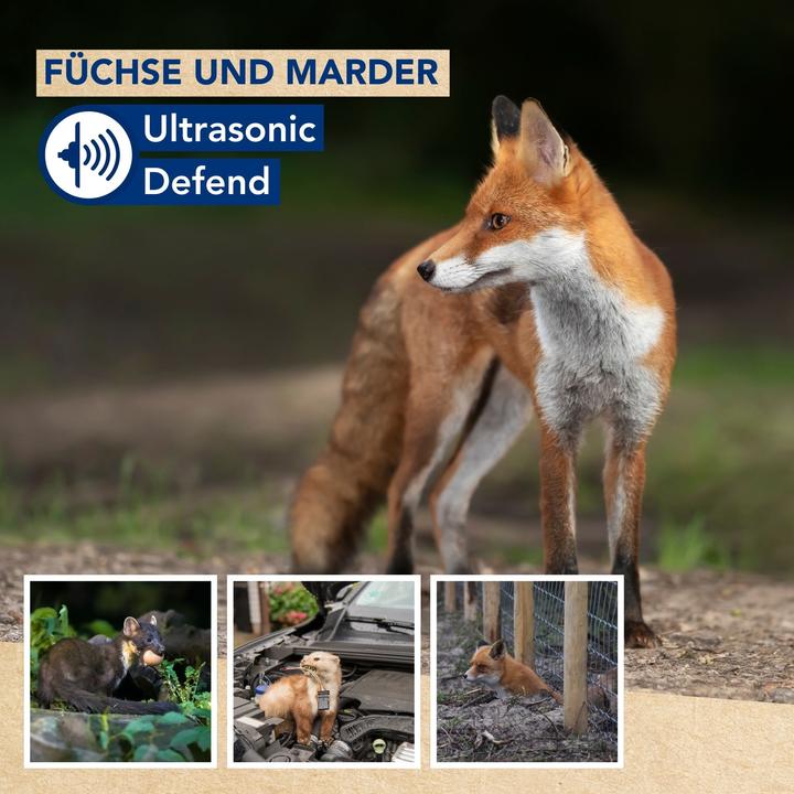 Actual product image Edialux Ultrasonic Defend - F?chse & Marder, max. 200m?, mit Blitz