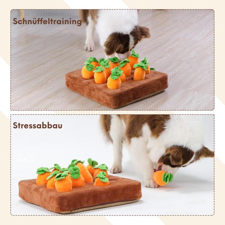 Produktbild Suba Intelligenzspielzeug (Intelligenzspielzeug Hund)