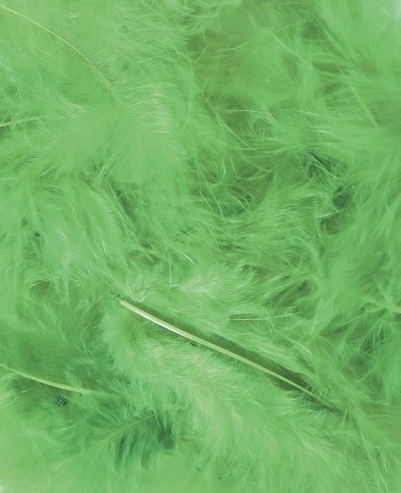 Actual product image I Am Creative Decorative feathers, natural feathers