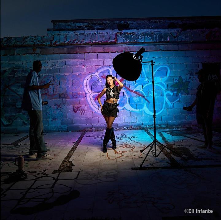 Actual product image Westcott 8 Shorty Offset Extension Arm (Further accessories)