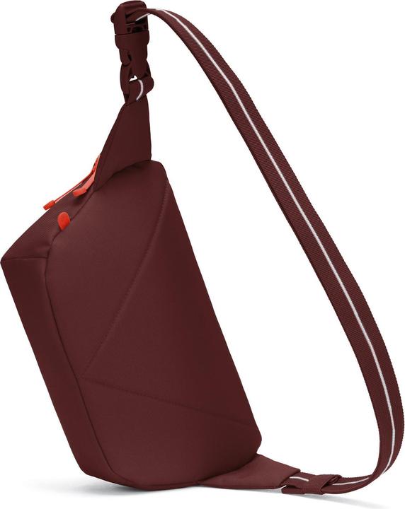 Produktbild Pacsafe Go