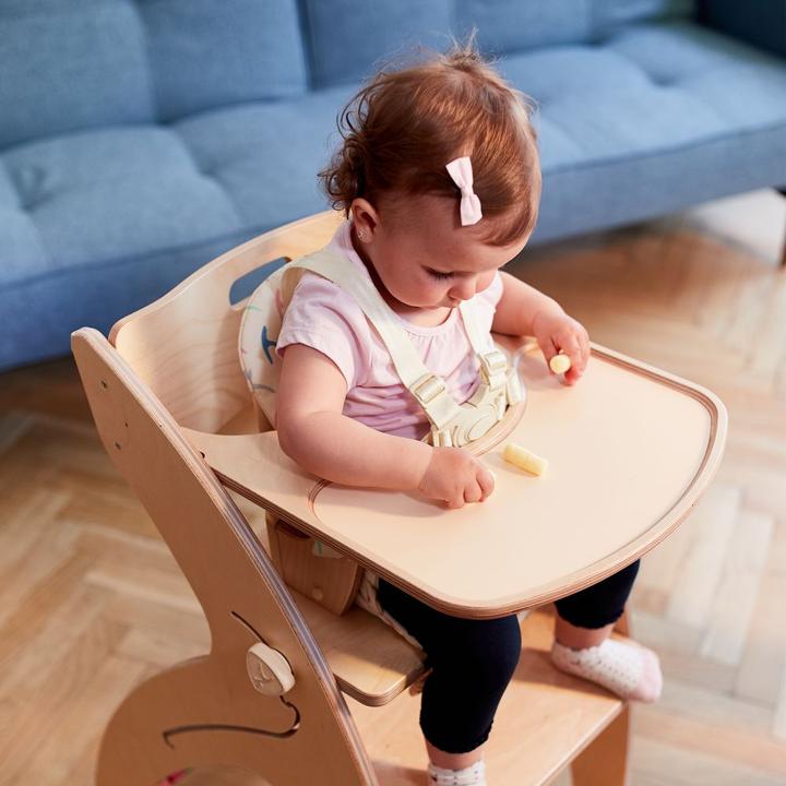 Produktbild QuarttoLino 5 Punkt Sicherheitsgurt für Hochstuhl - Hochstuhl-Zubehör