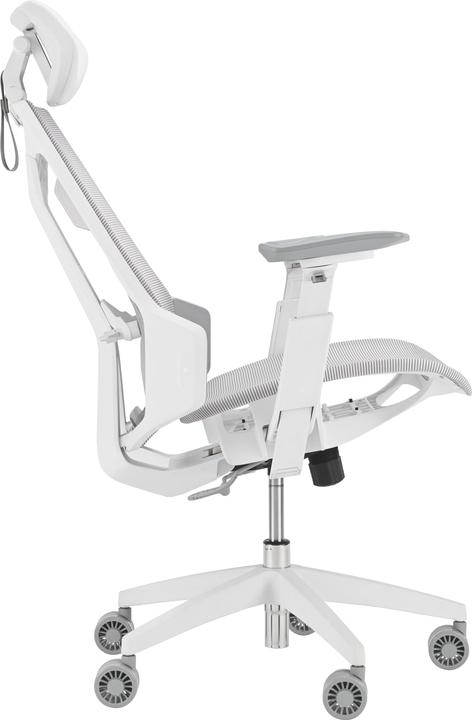 Produktbild ASUS Gaming Stuhl ROG Destrier Ergo Core WHT