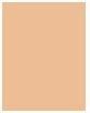 Image du produit L'Oréal Paris true match (5.W Dore Chaud, 5D)