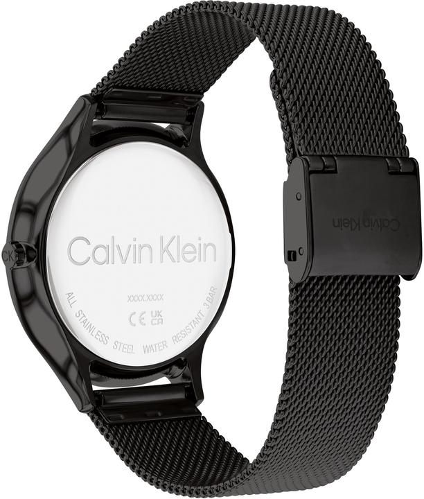 Produktbild Calvin Klein Timeless Mesh Damenuhr 25200004 + BOX