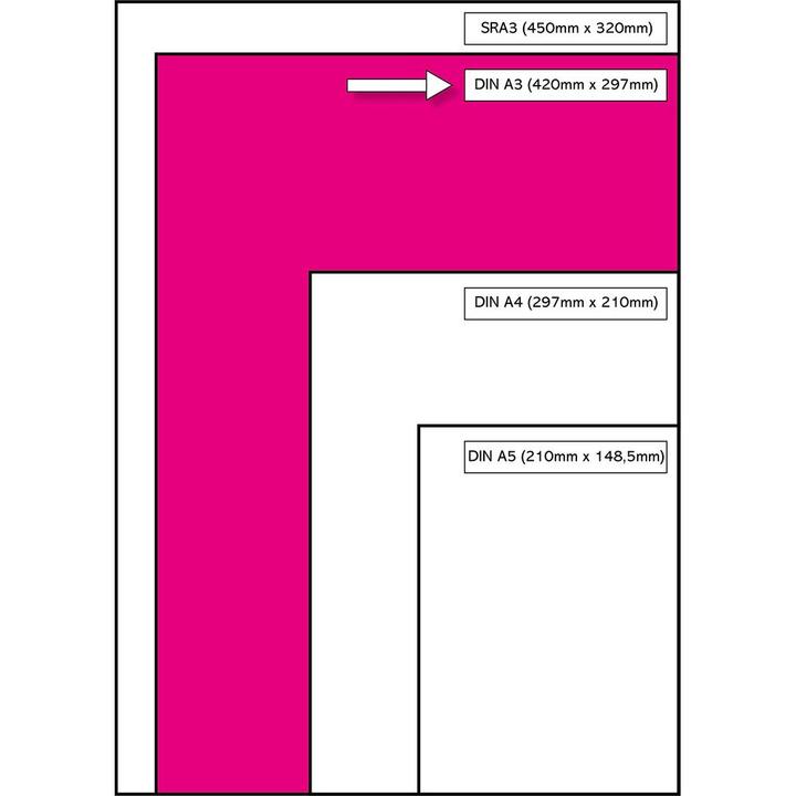 Actual product image Xerox Premier copy paper (A3, 500 Sheets, 80 g/m²)
