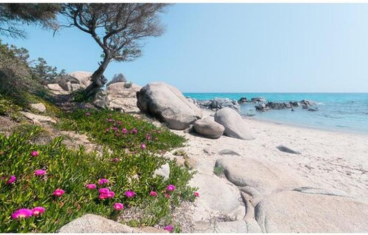 Komar Vliesbehang Mediterranean Dreams 9-luik 450 x 280 cm (450 x 280 cm)
