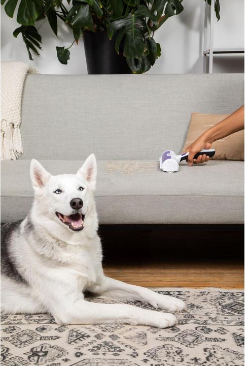 Actual product image Black & Decker Pet hair remover
