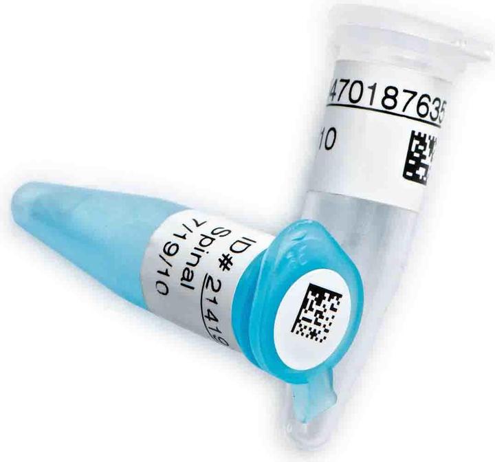 Actual product image Brady thermal transfer printer (2.54 cm)