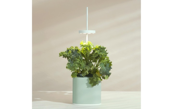 Produktbild Prêt à Pousser Kräutertopf Nano, Celadon Green (13.50 cm)
