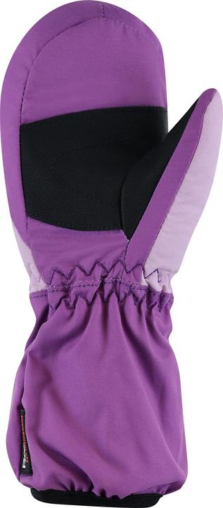 vivid purple