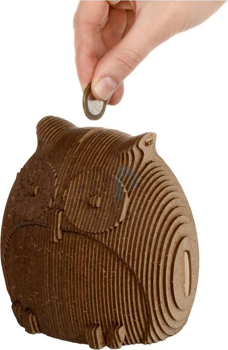 Actual product image Eco Wood Art Coin Bank Puzzle - Owl