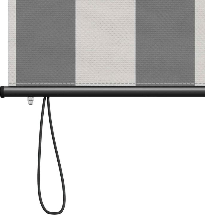 Produktbild vidaXL Outdoor Rollo (100 x 250 cm)