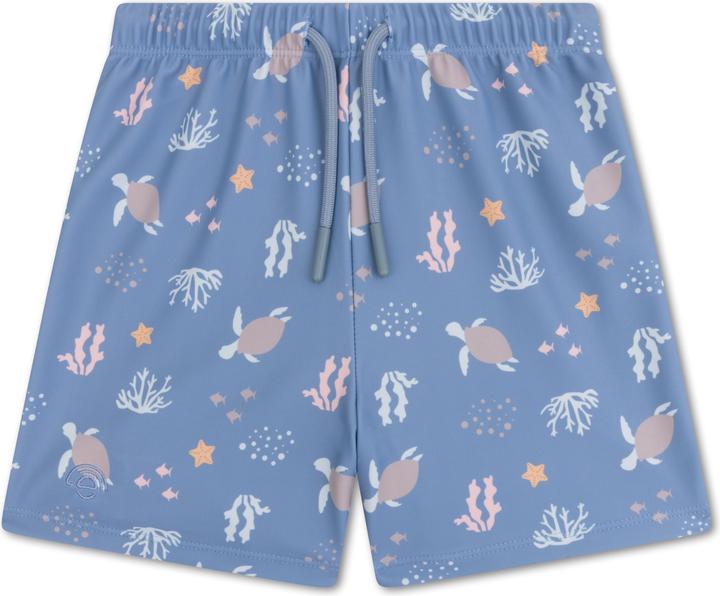 Blue Sealife