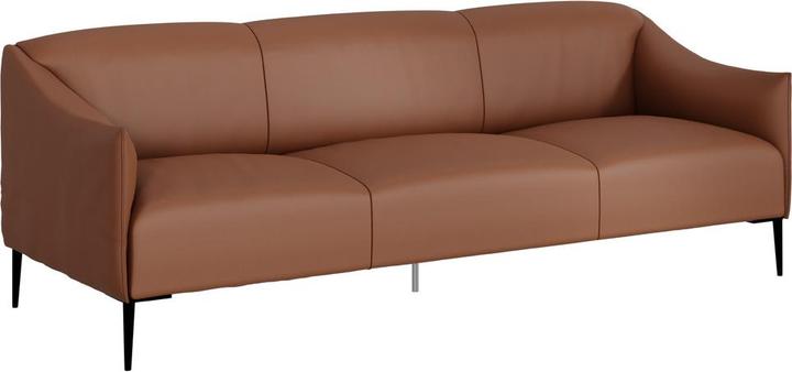 Johann Jakob Sally (3 posti)