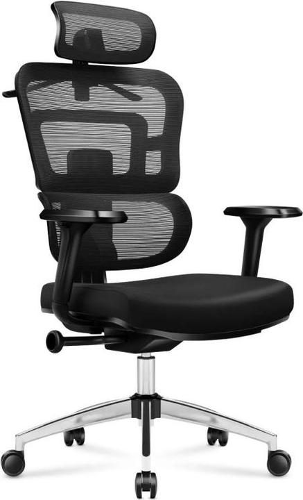 Produktbild Mark Adler Expert (44 - 52 cm)