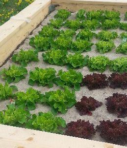 Produktbild GardenWool Unkrautschutzmatte