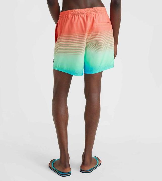 Image du produit O'Neill Jack Cali Gradient 15" Short De Natation (L)