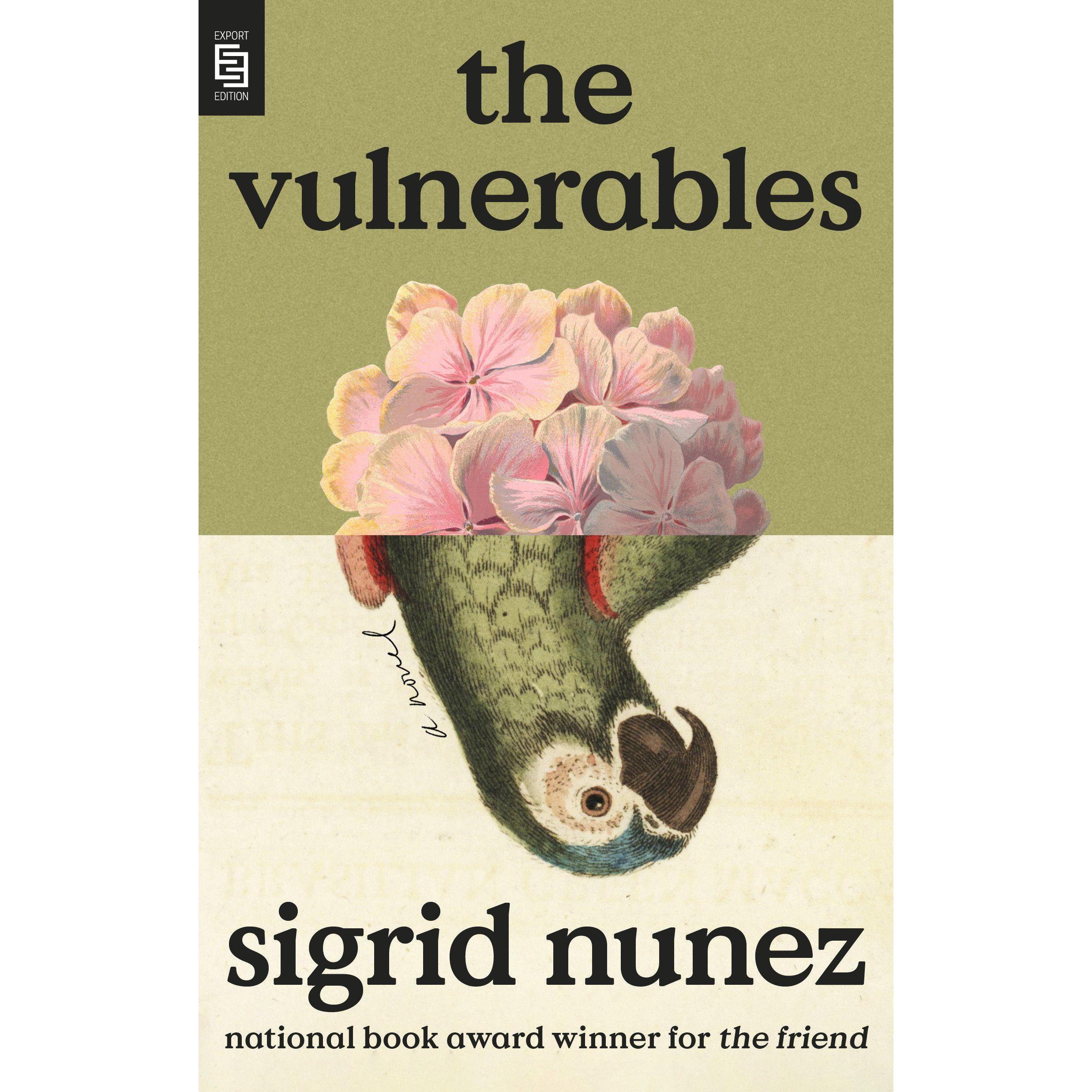 The Vulnerables, Belletristik von Nunez Sigrid
