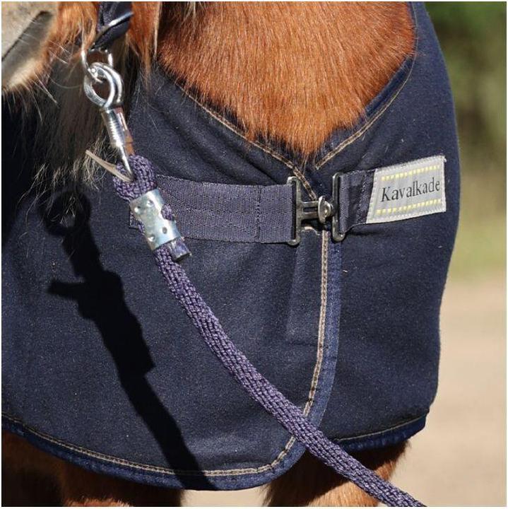 Actual product image Kavalkade Shetty-Ecoline (80 cm)