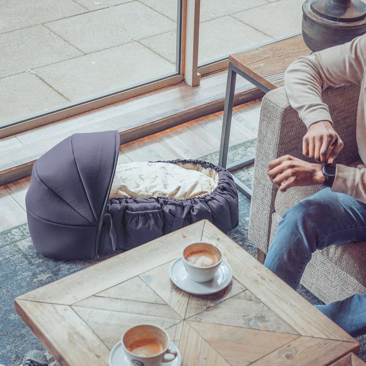 Image du produit Sebra Babynestchen 3 in 1