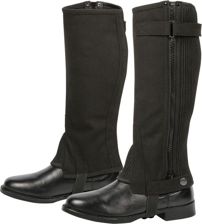 Harry's Horse mini-chap court und breite harry' hore amara (S)