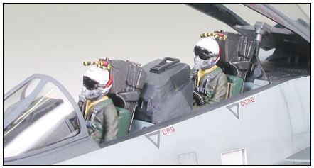 Actual product image Tamiya Grumman F-14A Tomcat
