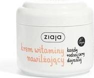 Actual product image Ziaja Pro-Vitamin B5 (D-Panthenol) Moisturizing Cream 100ml (100 ml, Day cream)