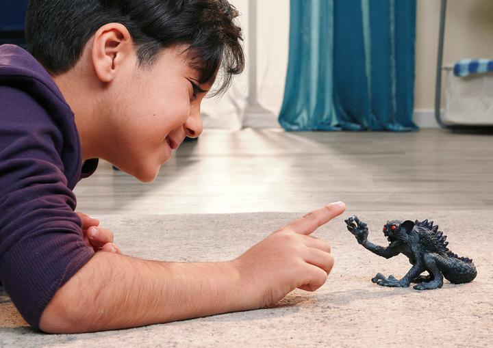 Image du produit Schleich Schatten-Lemur