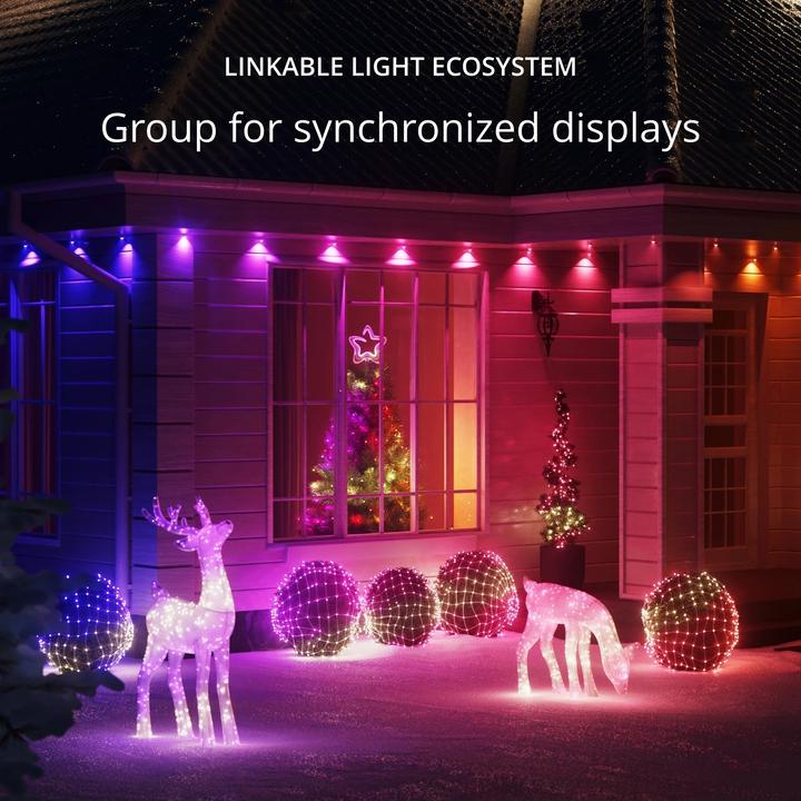 Produktbild Twinkly 3D Rentier