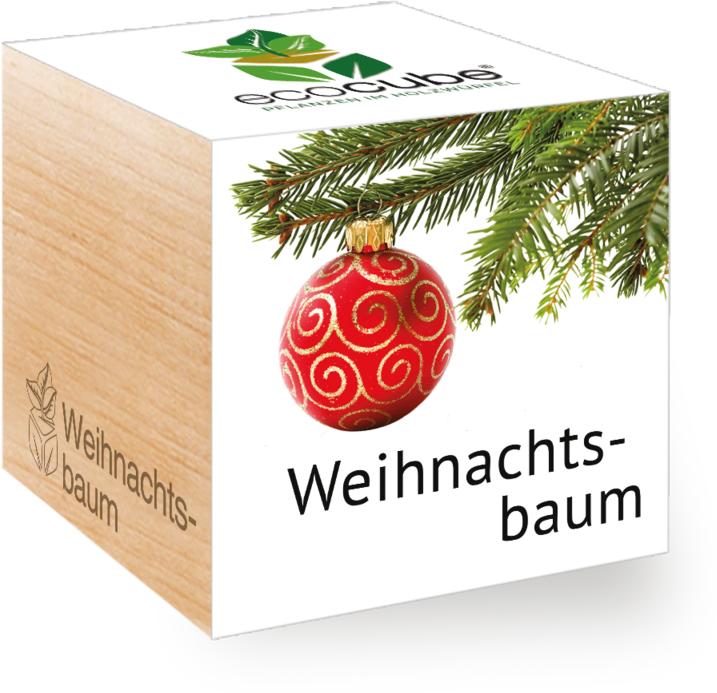 Image du produit Feel Green Ecocube (Graines de plantes)