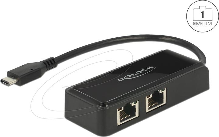 Productafbeelding Delock USB3.1 netwerkkaart type-C - 2x RJ45, 27cm (USB 3.1 Gen 1, RJ45 Gigabit Ethernet (2x))