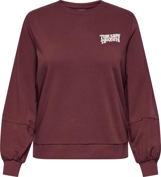 Immagine prodotto Only CARKAVIRA Sweatshirt Sweatshirt (L)
