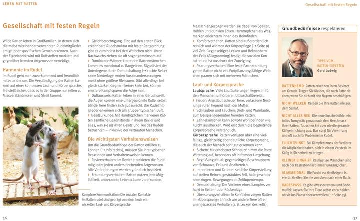 Productafbeelding Ratten (Duits, Gerd Ludwig, 2016)