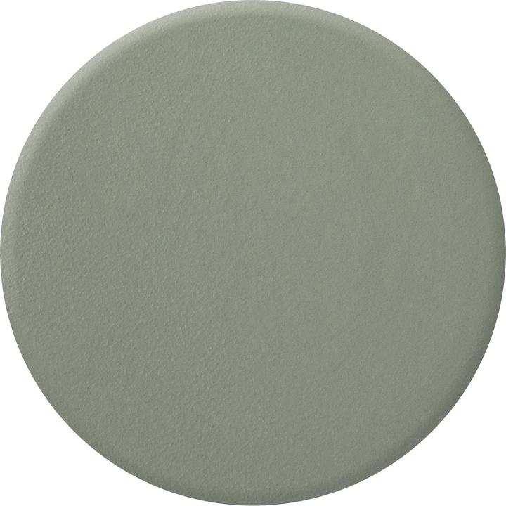 Actual product image Zoya Sage (Colour paint)