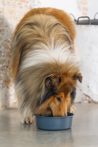 Actual product image Designed by Lotte Feribo (1.90 l)