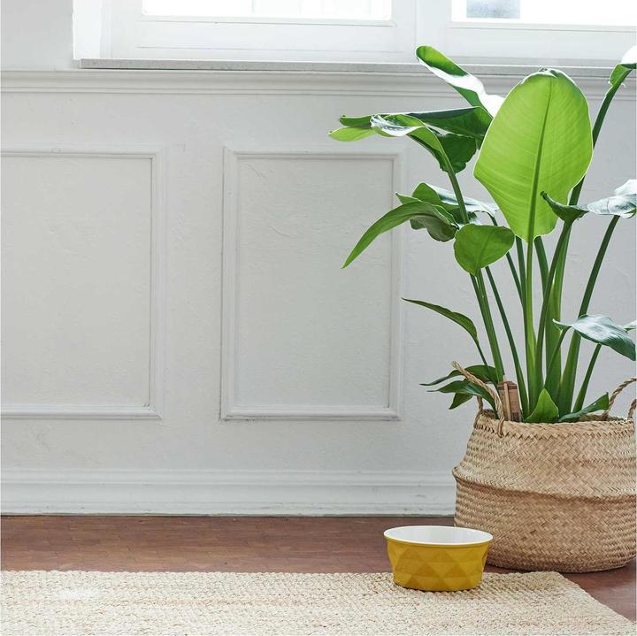 Actual product image Hunter Ceramic bowl Eiby (0.35 l)