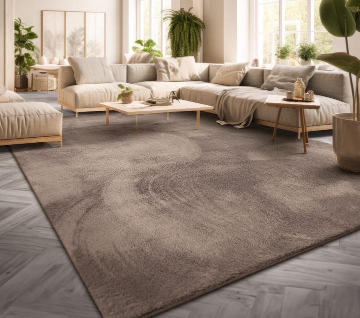 TT Home Wohnzimmer Kurzflor Einfarbig Modernes Design Waschbar (220 x 160 cm)