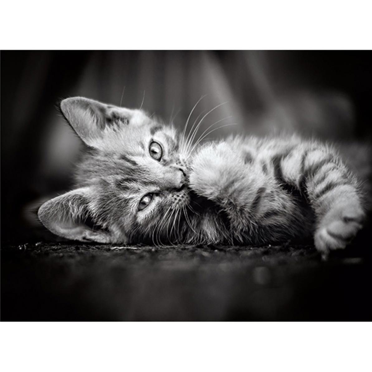 Thumbnail - Clementoni Kitty (1000 Teile)