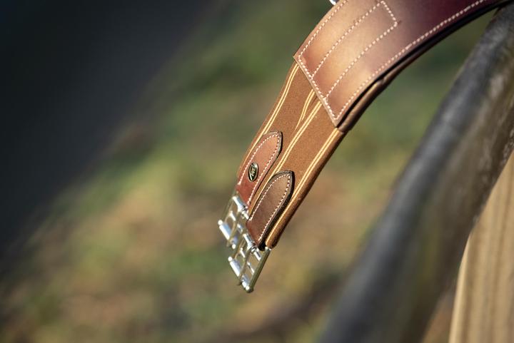 Produktbild HFI Master Sattelgurt