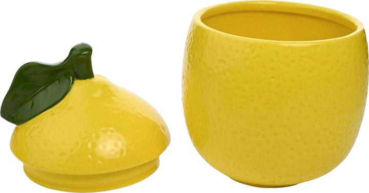 Actual product image Hestia Lemon Storage Jar