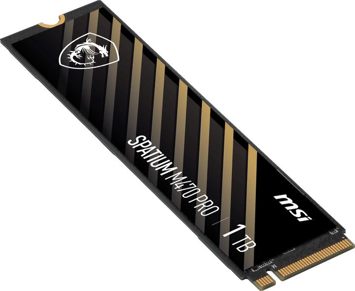 Actual product image MSI Spatium M470 Pro (1000 GB, M.2 2280)