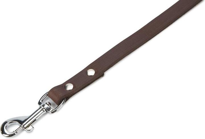 Image du produit Beeztees BZ LAISSE EN CUIR MARRON 165X12 (Chien)