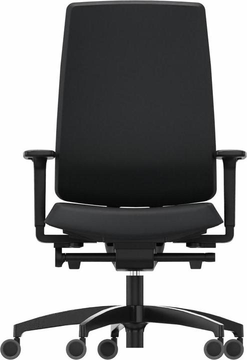 Produktbild Dauphin Indeed (40 - 52 cm)